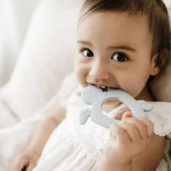 BO & KO Baby Pacific Island Turtle Teether New