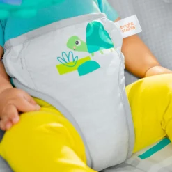 Bright Starts Playful Paradise Vibrating Baby Bouncer Hot