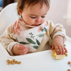 Crane Baby Muslin Bandana Bib 3pk Best