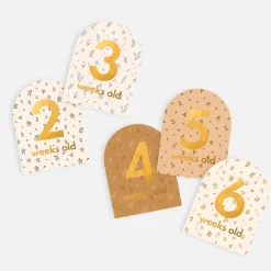 Fox & Fallow Baby Milestone Cards Hot