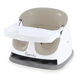 Ingenuity Baby Base 2-in-1 Seat Outlet