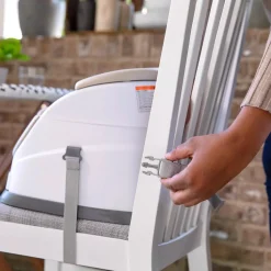 Ingenuity Baby Base 2-in-1 Seat Outlet