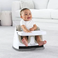Ingenuity Baby Base 2-in-1 Seat Outlet