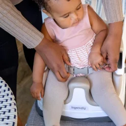 Ingenuity Baby Base 2-in-1 Seat Outlet