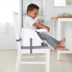 Ingenuity Baby Base 2-in-1 Seat Outlet