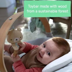 Ingenuity Cozy Spot Soothing Baby Bouncer Clearance