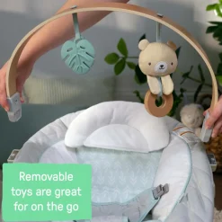 Ingenuity Cozy Spot Soothing Baby Bouncer Clearance