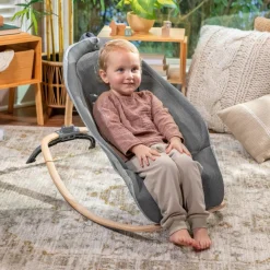 Ingenuity Every Season Rocking Seat Wesley Sale