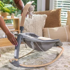 Ingenuity Every Season Rocking Seat Wesley Sale