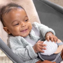 Ingenuity Every Season Rocking Seat Wesley Sale