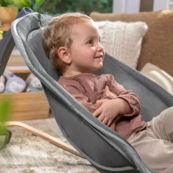 Ingenuity Every Season Rocking Seat Wesley Sale