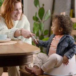 Ingenuity ity by Simplicity Seat Easy Clean Booster Seat Grey Sale