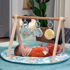 Ingenuity ity by Sun Valley Wooden Toy Arch & Play Mat New