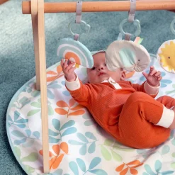 Ingenuity ity by Sun Valley Wooden Toy Arch & Play Mat New