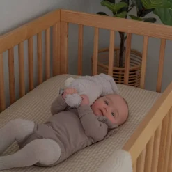 Cariboo MacKenzie Cot Natural New