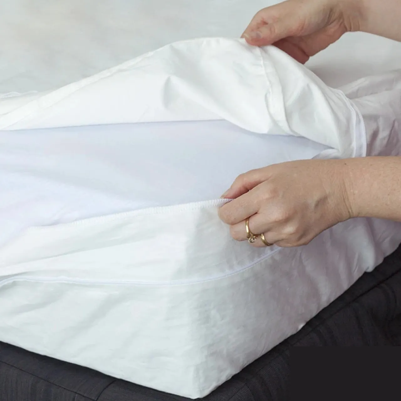 Mite Guard MiteGuard Bed Size Mattress Cover Best