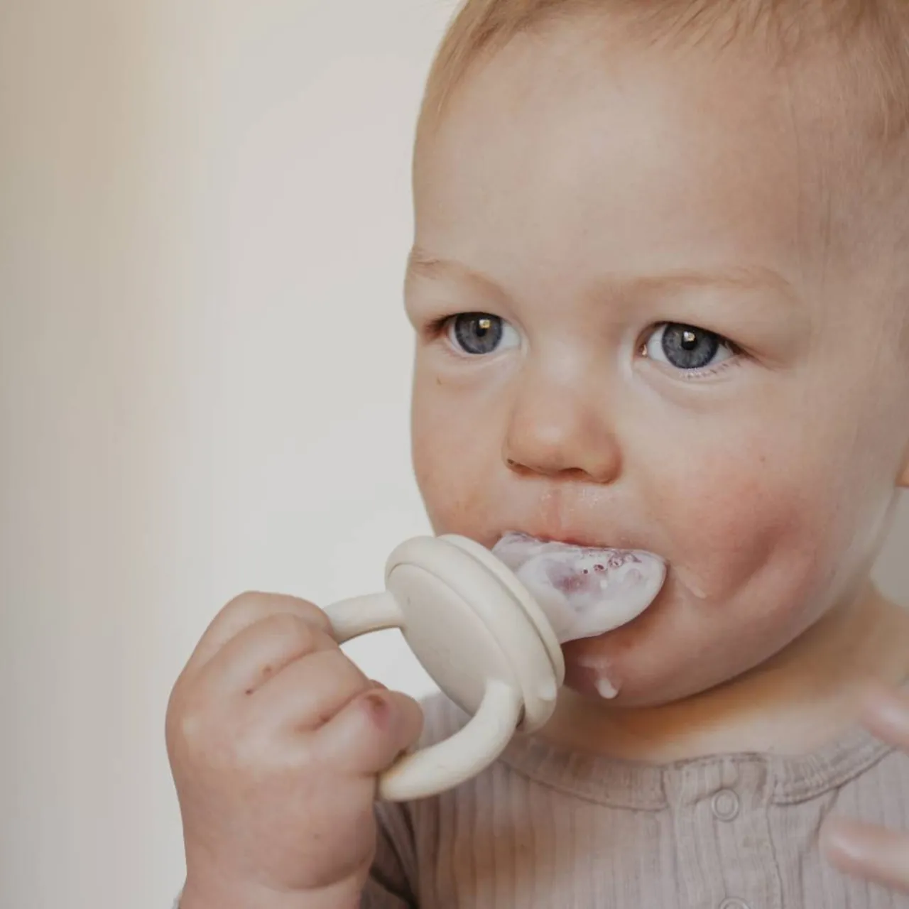 Petite Eats First Tastes Feeder Hot