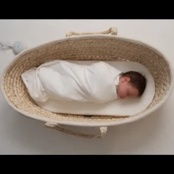 The Sleep Store Moses Basket Best