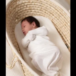The Sleep Store Moses Basket Best