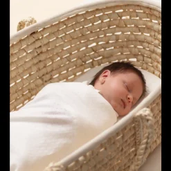 The Sleep Store Moses Basket Best