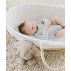 The Sleep Store Moses Basket with Waffle Liner Sale