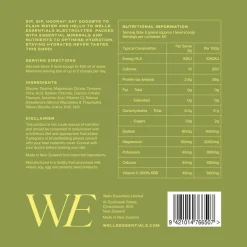 Welle Essentials Electrolytes - Pineapple Lime Fashion