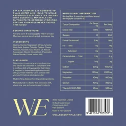 Welle Essentials Electrolytes - Blueberry Lemonade Outlet