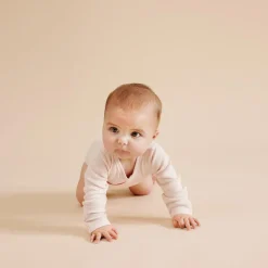 Wilson + Frenchy Wilson & Frenchy Organic Stripe Rib Kimono Bodysuit Outlet