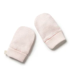 Wilson + Frenchy Wilson & Frenchy Organic Stripe Rib Mittens Cantaloupe New