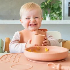 Zazi Clever Plate with Lid Best